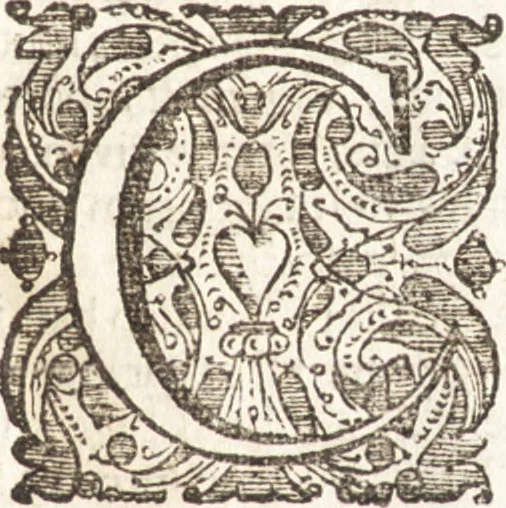 An illustration from Hugonis Grotii De jure belli ac pacis libri tres : in quibus jus naturae & gentium, item juris publici praecipua explicantur, 1670, leaf 28