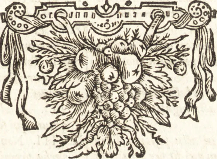An illustration from Hugonis Grotii De jure belli ac pacis libri tres : in quibus jus naturae & gentium, item juris publici praecipua explicantur, 1670, leaf 456