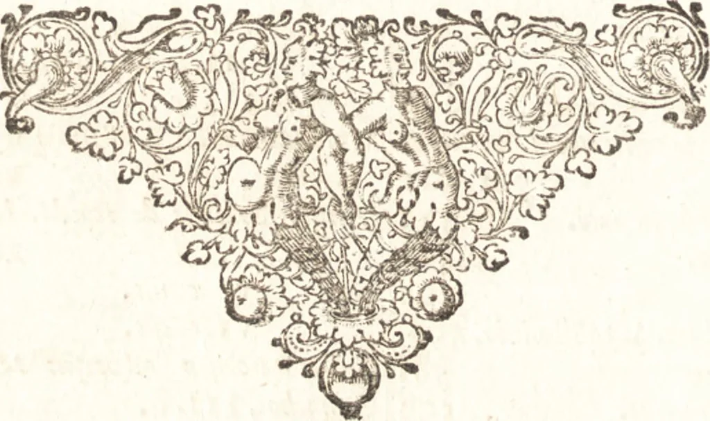An illustration from Hugonis Grotii De jure belli ac pacis libri tres : in quibus jus naturae & gentium, item juris publici praecipua explicantur, 1670, leaf 651