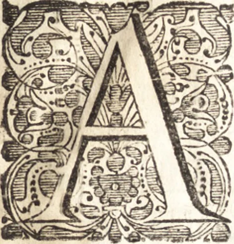 An illustration from Hugonis Grotii De jure belli ac pacis libri tres : in quibus jus naturae & gentium, item juris publici praecipua explicantur, 1670, leaf 8