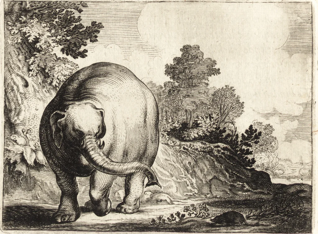 An illustration from Ian vander Veens Zinne-beelden, oft, Adams appel : verciert met seer aerdige const-plaeten : mitsgaders syne oude ende nieuwe ongemeene Bruydt-lofs, ende Zege-zangen, 1642, leaf 237