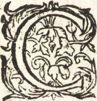 An illustration from Ian vander Veens Zinne-beelden, oft, Adams appel : verciert met seer aerdige const-plaeten : mitsgaders syne oude ende nieuwe ongemeene Bruydt-lofs, ende Zege-zangen, 1642, leaf 535