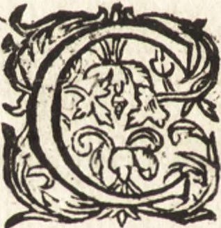 An illustration from Ian vander Veens Zinne-beelden, oft, Adams appel : verciert met seer aerdige const-plaeten : mitsgaders syne oude ende nieuwe ongemeene Bruydt-lofs, ende Zege-zangen, 1642, leaf 537