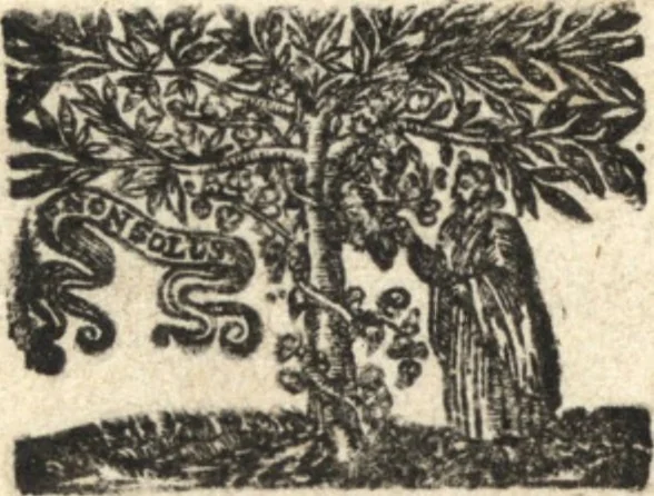An illustration from Bibliotheca Heinsiana, sive, Catalogus librorum, quos magno studio & sumptu dum viveret, collegit vir illustris Nicolaus Heinsius, Dan. fil. : in duas partes divisus, 1682, leaf 4