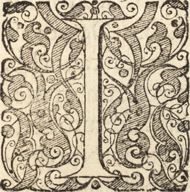 An illustration from Icones qvinqvaginta virorvm illustrium, doctrina & eruditione praestantium, 1597, leaf 104