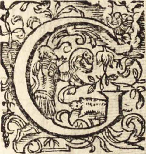 An illustration from Icones qvinqvaginta virorvm illustrium, doctrina & eruditione praestantium, 1597, leaf 140