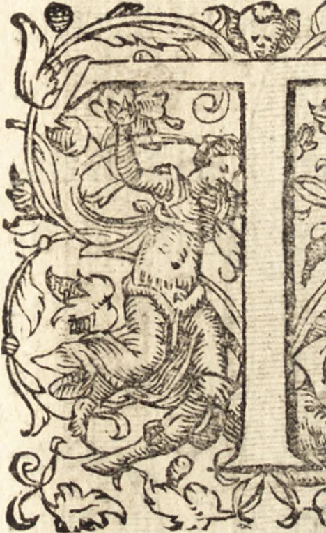 An illustration from Icones qvinqvaginta virorvm illustrium, doctrina & eruditione praestantium, 1597, leaf 148
