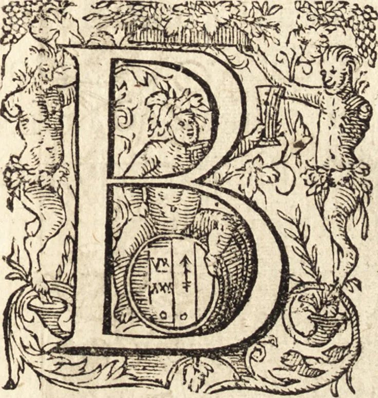 An illustration from Icones qvinqvaginta virorvm illustrium, doctrina & eruditione praestantium, 1597, leaf 156