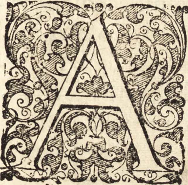An illustration from Icones qvinqvaginta virorvm illustrium, doctrina & eruditione praestantium, 1597, leaf 166