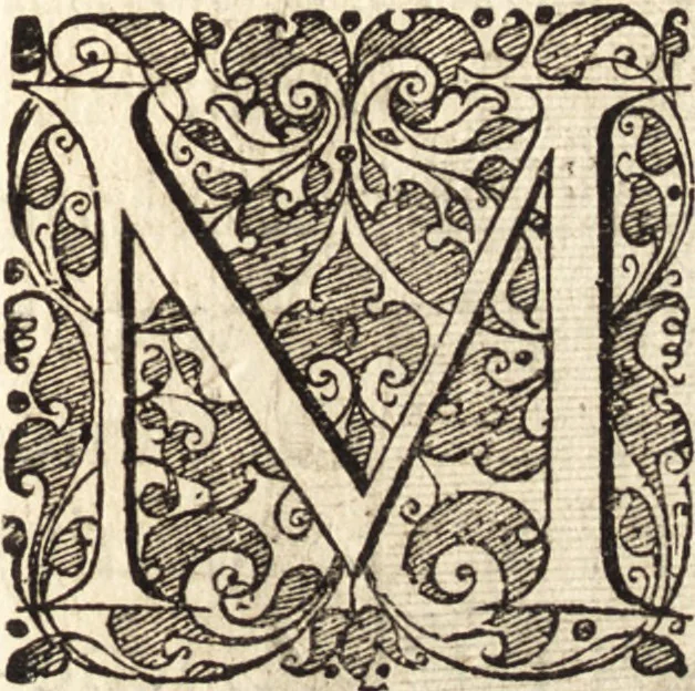 An illustration from Icones qvinqvaginta virorvm illustrium, doctrina & eruditione praestantium, 1597, leaf 196