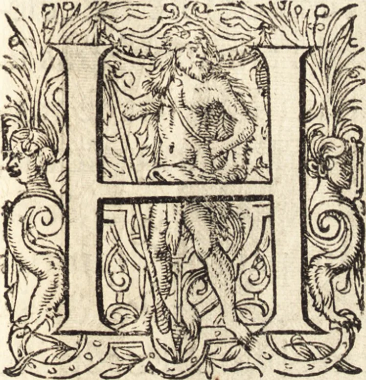 An illustration from Icones qvinqvaginta virorvm illustrium, doctrina & eruditione praestantium, 1597, leaf 202