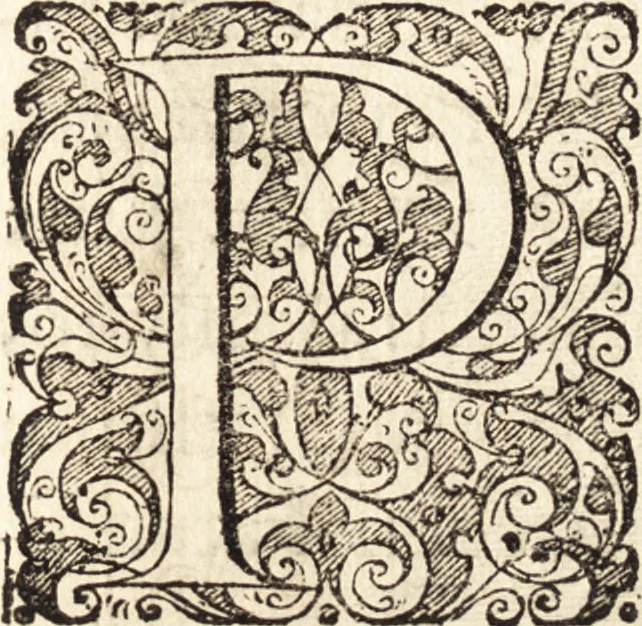 An illustration from Icones qvinqvaginta virorvm illustrium, doctrina & eruditione praestantium, 1597, leaf 214