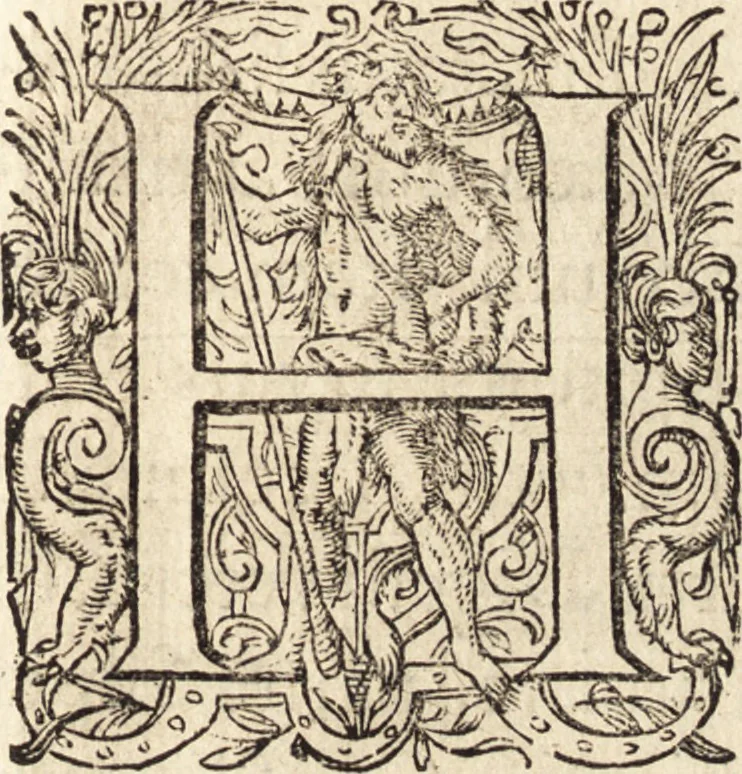 An illustration from Icones qvinqvaginta virorvm illustrium, doctrina & eruditione praestantium, 1597, leaf 230