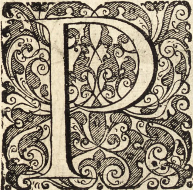 An illustration from Icones qvinqvaginta virorvm illustrium, doctrina & eruditione praestantium, 1597, leaf 244