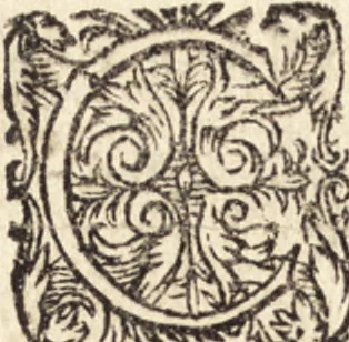 An illustration from Icones qvinqvaginta virorvm illustrium, doctrina & eruditione praestantium, 1597, leaf 305