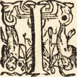 An illustration from Icones qvinqvaginta virorvm illustrium, doctrina & eruditione praestantium, 1597, leaf 318