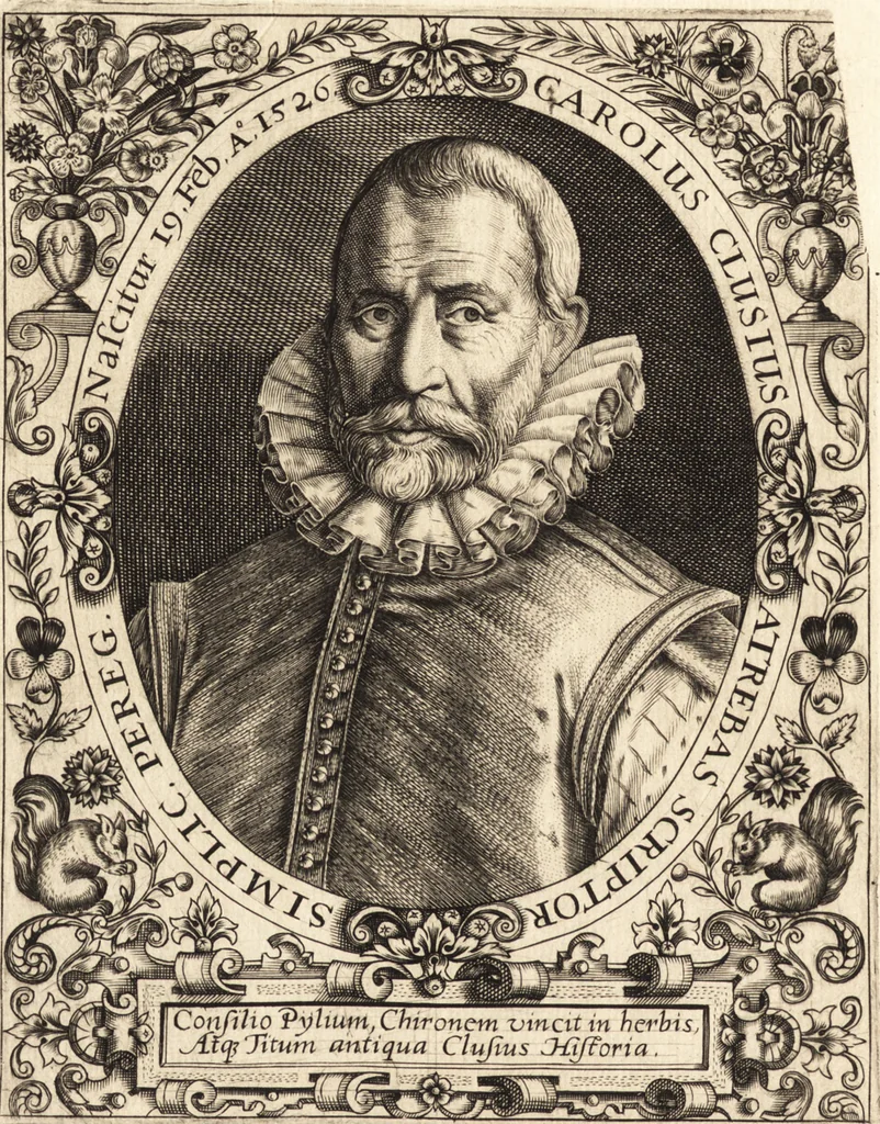 An illustration from Icones qvinqvaginta virorvm illustrium, doctrina & eruditione praestantium, 1597, leaf 321