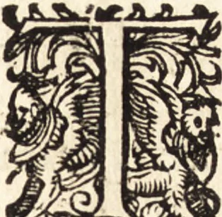 An illustration from Icones qvinqvaginta virorvm illustrium, doctrina & eruditione praestantium, 1597, leaf 428
