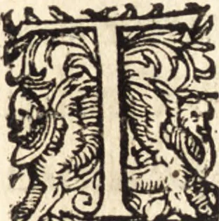 An illustration from Icones qvinqvaginta virorvm illustrium, doctrina & eruditione praestantium, 1597, leaf 456