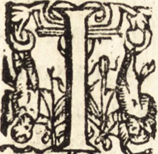 An illustration from Icones qvinqvaginta virorvm illustrium, doctrina & eruditione praestantium, 1597, leaf 484
