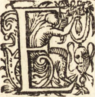An illustration from Icones qvinqvaginta virorvm illustrium, doctrina & eruditione praestantium, 1597, leaf 488
