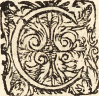 An illustration from Icones qvinqvaginta virorvm illustrium, doctrina & eruditione praestantium, 1597, leaf 544