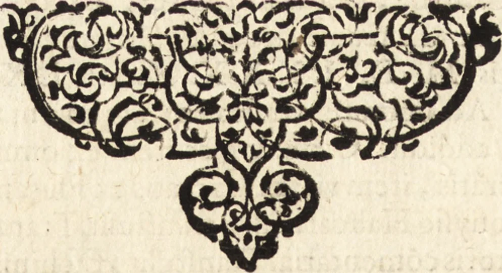 An illustration from Icones qvinqvaginta virorvm illustrium, doctrina & eruditione praestantium, 1597, leaf 573