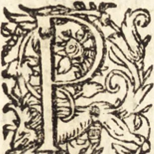 An illustration from Icones qvinqvaginta virorvm illustrium, doctrina & eruditione praestantium, 1597, leaf 592