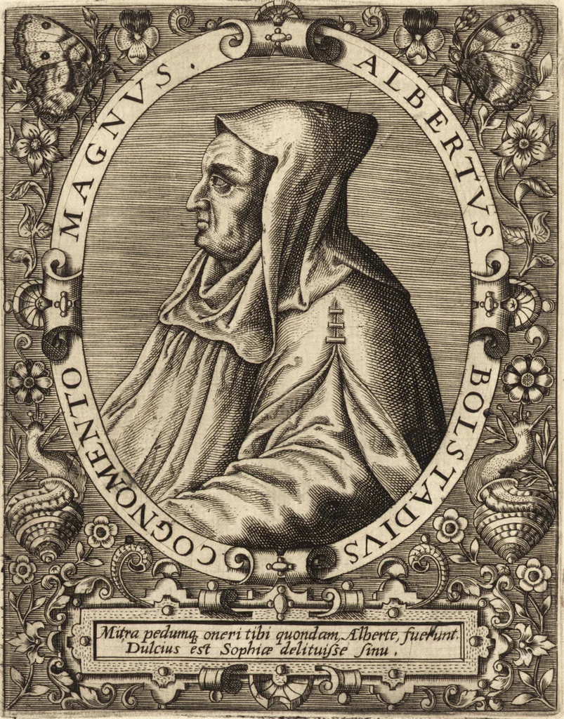 An illustration from Icones qvinqvaginta virorvm illustrium, doctrina & eruditione praestantium, 1597, leaf 73