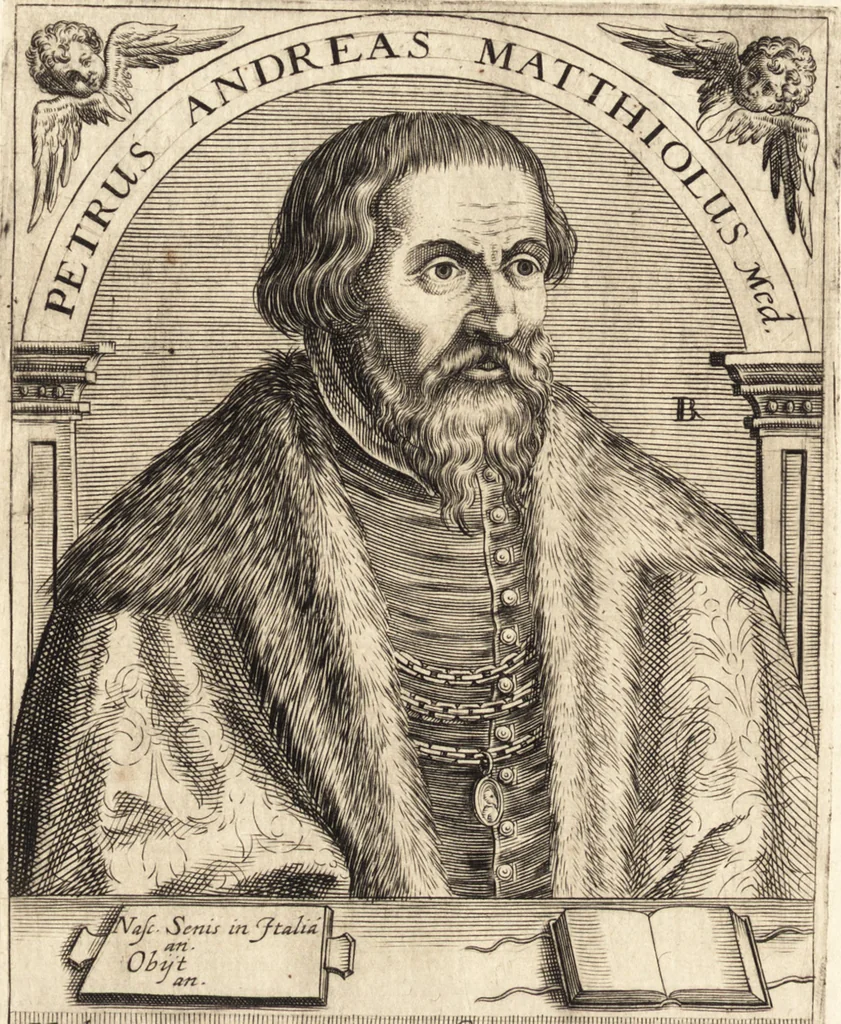 An illustration from Icones qvinqvaginta virorvm illustrium, doctrina & eruditione praestantium, 1597, leaf 169