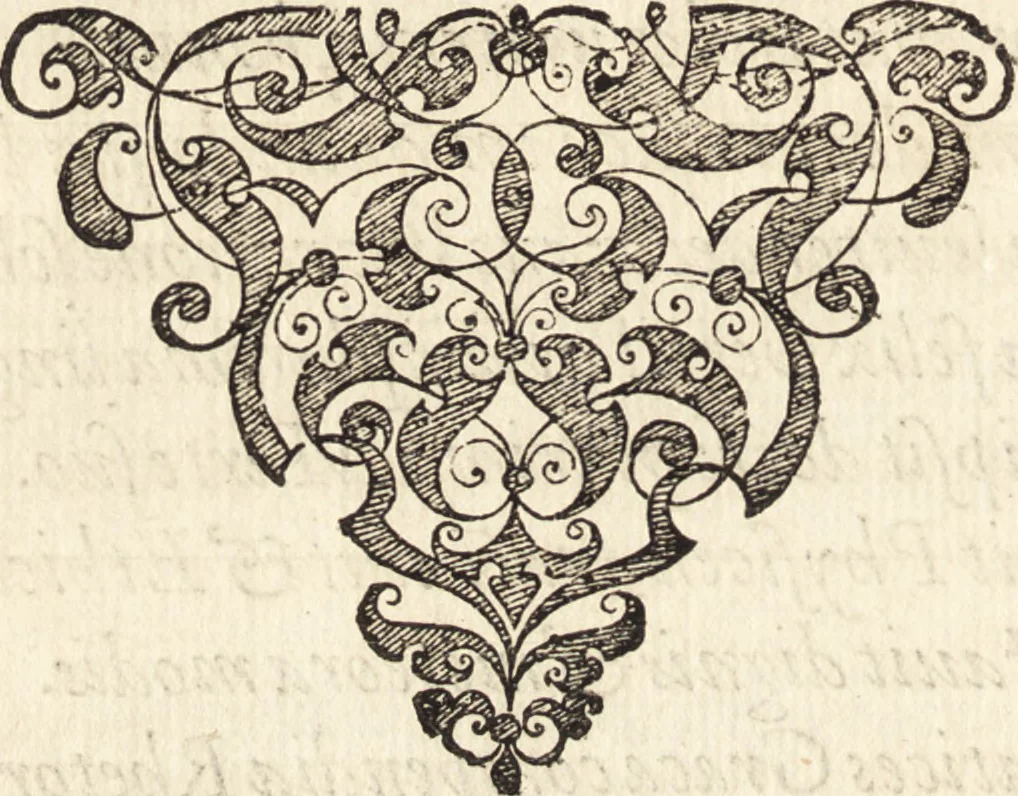An illustration from Icones qvinqvaginta virorvm illustrium, doctrina & eruditione praestantium, 1597, leaf 209