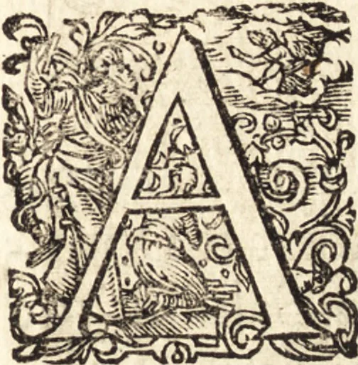 An illustration from Icones qvinqvaginta virorvm illustrium, doctrina & eruditione praestantium, 1597, leaf 250