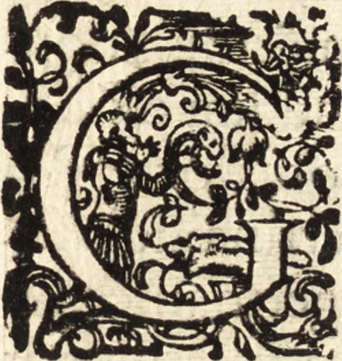 An illustration from Icones qvinqvaginta virorvm illustrium, doctrina & eruditione praestantium, 1597, leaf 268