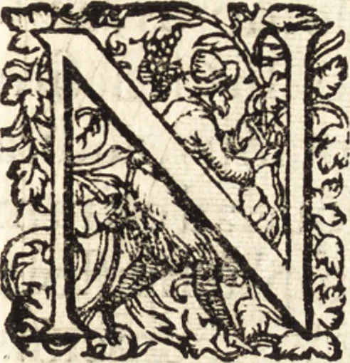 An illustration from Icones qvinqvaginta virorvm illustrium, doctrina & eruditione praestantium, 1597, leaf 294