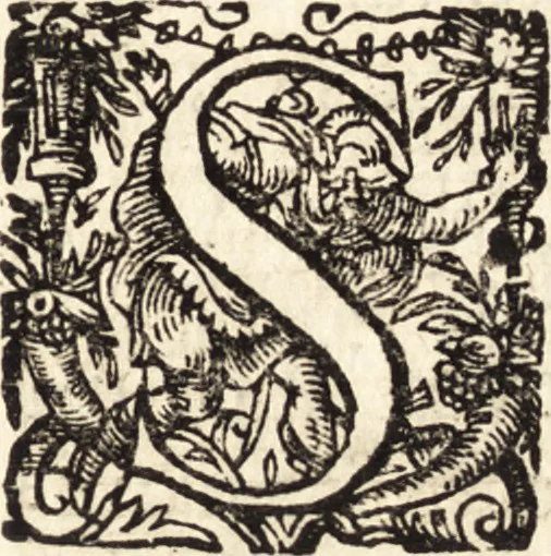 An illustration from Icones qvinqvaginta virorvm illustrium, doctrina & eruditione praestantium, 1597, leaf 302