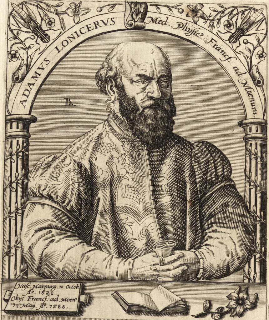 An illustration from Icones qvinqvaginta virorvm illustrium, doctrina & eruditione praestantium, 1597, leaf 319