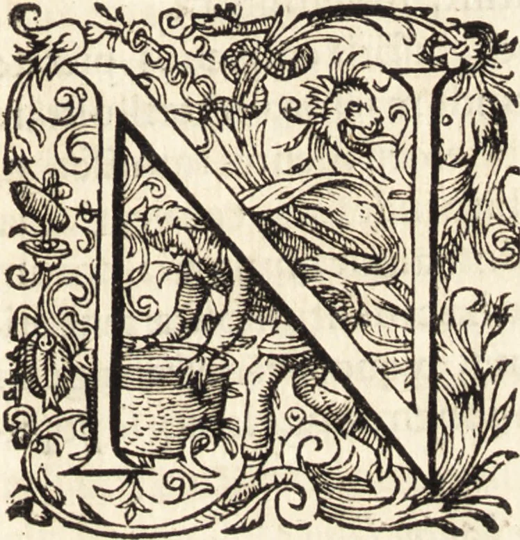 An illustration from Icones qvinqvaginta virorvm illustrium, doctrina & eruditione praestantium, 1597, leaf 354