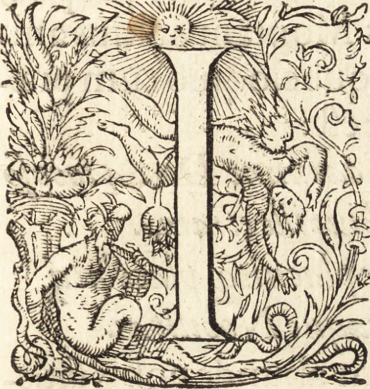 An illustration from Icones qvinqvaginta virorvm illustrium, doctrina & eruditione praestantium, 1597, leaf 362