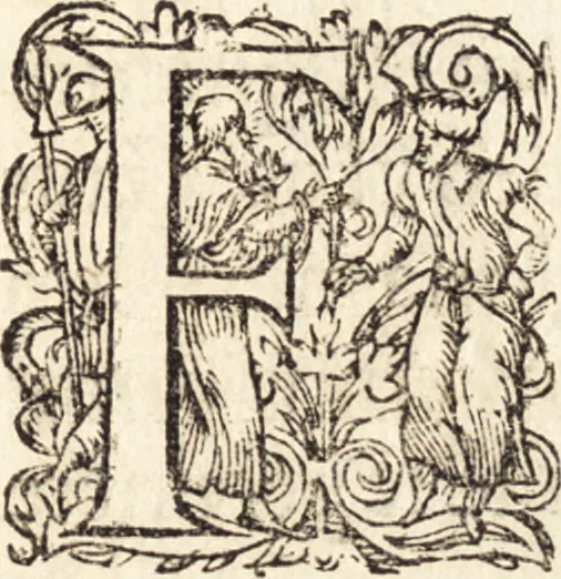 An illustration from Icones qvinqvaginta virorvm illustrium, doctrina & eruditione praestantium, 1597, leaf 366