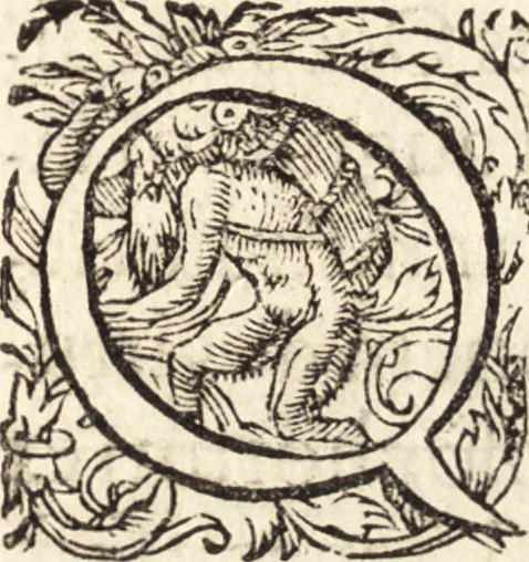 An illustration from Icones qvinqvaginta virorvm illustrium, doctrina & eruditione praestantium, 1597, leaf 372
