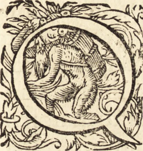 An illustration from Icones qvinqvaginta virorvm illustrium, doctrina & eruditione praestantium, 1597, leaf 376