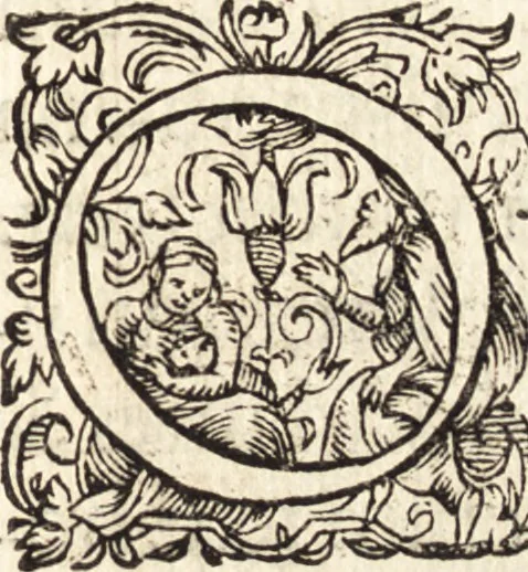 An illustration from Icones qvinqvaginta virorvm illustrium, doctrina & eruditione praestantium, 1597, leaf 380