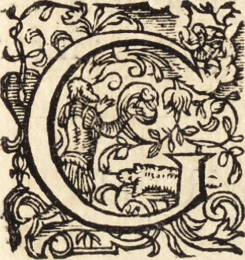 An illustration from Icones qvinqvaginta virorvm illustrium, doctrina & eruditione praestantium, 1597, leaf 410