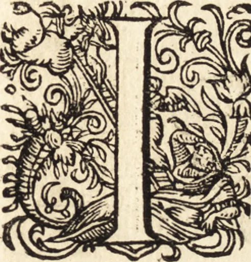 An illustration from Icones qvinqvaginta virorvm illustrium, doctrina & eruditione praestantium, 1597, leaf 416