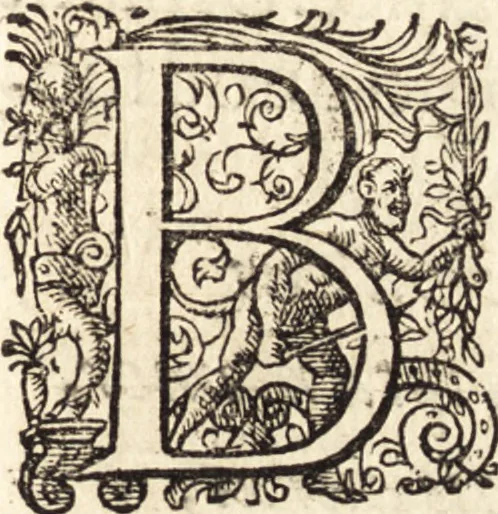 An illustration from Icones qvinqvaginta virorvm illustrium, doctrina & eruditione praestantium, 1597, leaf 432