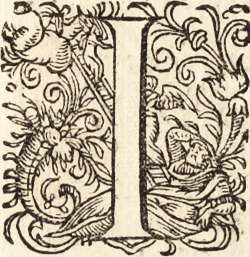 An illustration from Icones qvinqvaginta virorvm illustrium, doctrina & eruditione praestantium, 1597, leaf 436