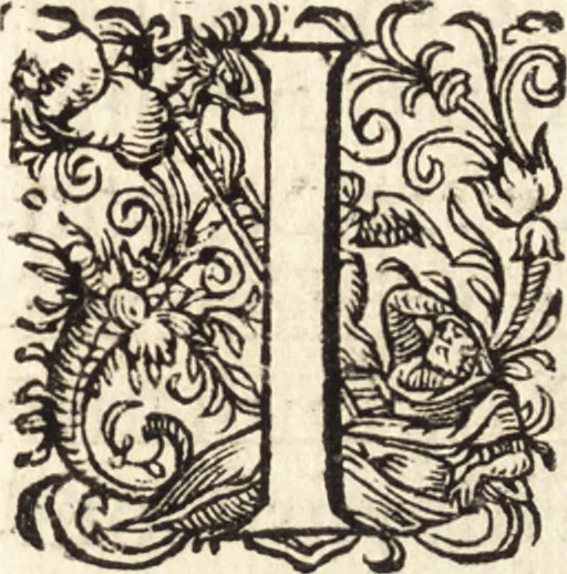 An illustration from Icones qvinqvaginta virorvm illustrium, doctrina & eruditione praestantium, 1597, leaf 442