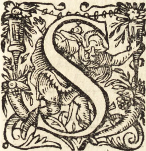 An illustration from Icones qvinqvaginta virorvm illustrium, doctrina & eruditione praestantium, 1597, leaf 454