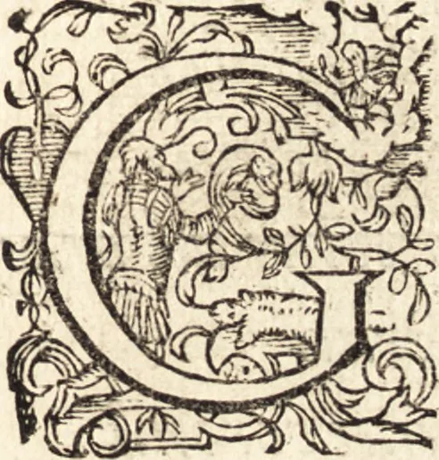 An illustration from Icones qvinqvaginta virorvm illustrium, doctrina & eruditione praestantium, 1597, leaf 460