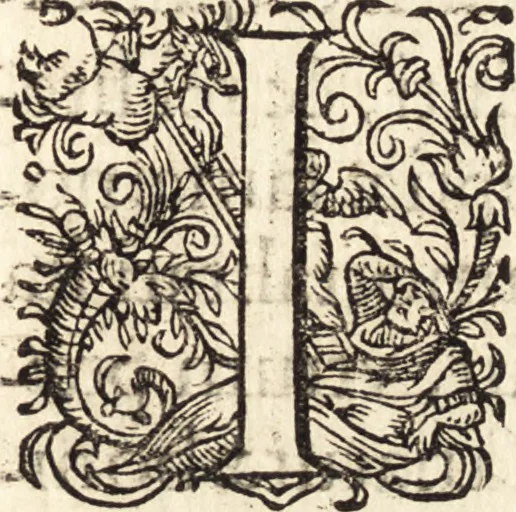 An illustration from Icones qvinqvaginta virorvm illustrium, doctrina & eruditione praestantium, 1597, leaf 464